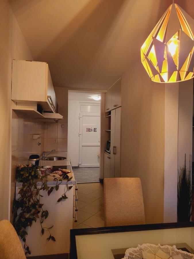 Dolly Apartment Airport ヴェリカ・ゴリツァ エクステリア 写真