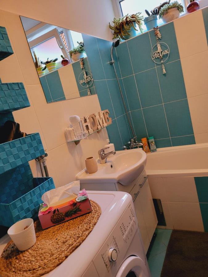 Dolly Apartment Airport ヴェリカ・ゴリツァ エクステリア 写真